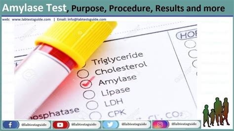 Amylase (Serum) Test Purpose, Procedure, Result and more - Lab Tests Guide