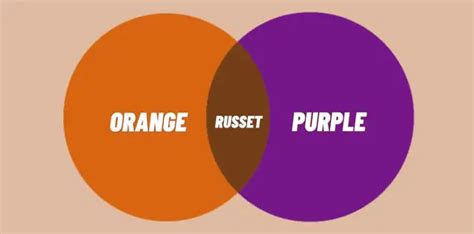 What Does Orange And Purple Make - KaeleeEsin