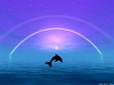 Free download 3D Dolphin wallpaper Dolphins 3d Dolphin Wallpaper ...