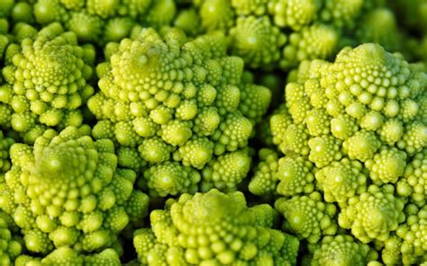 What Is Romanesco: How Do You Cook It + 5 Best Romanesco Recipes ...