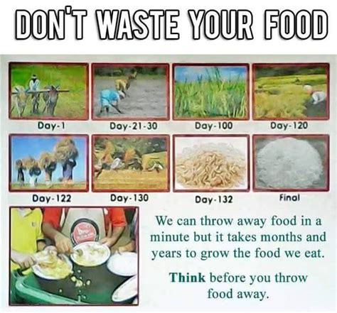 Dont Waste Food ! | Don't waste food, Food waste poster, Food wastage