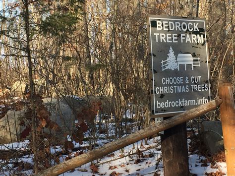 Bedrock Tree Farm Candles - Green Hill Rocks