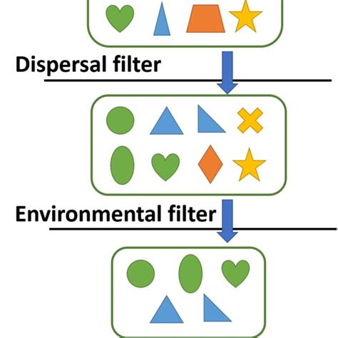 Three types of filtering mechanisms These three types of filtering ...