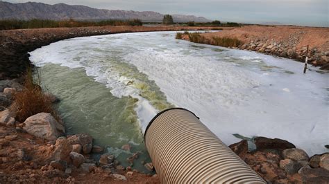 Cleanup efforts aim to turn the polluted New River into a water ...