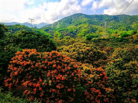 2019石门国家森林公园_旅游攻略_门票_地址_游记点评,从化旅游景点推荐 - 去哪儿攻略社区