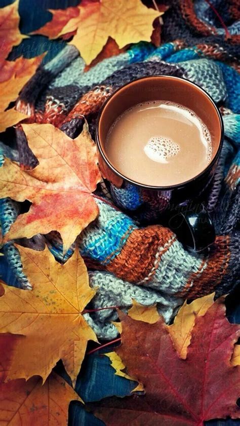 Pin by Gladys on Fondos | Fall wallpaper, Autumn photography, Autumn aesthetic
