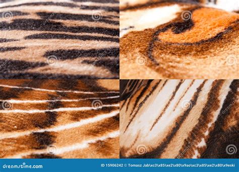 Animal skin texture stock photo. Image of texture, brown - 15906242