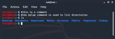 Kali Linux - Terminal and Shell - GeeksforGeeks