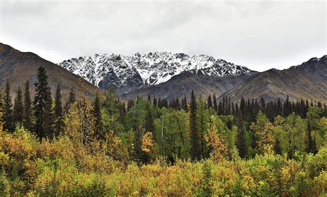 Chugach Mountains In Autumn Photograph by Dan Sproul - Fine Art America