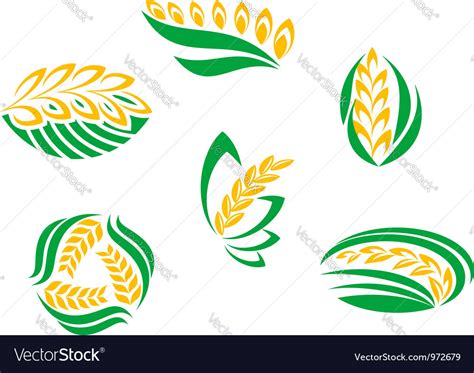 Symbols cereal plants Royalty Free Vector Image