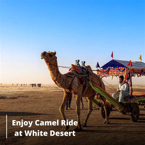 Kutch Rann Utsav Package | 2 Nights 3 Days - Backpack Stays