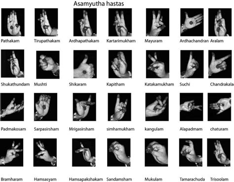 Analyzing the Frequency of Leg Movements and Hand Gestures in ...