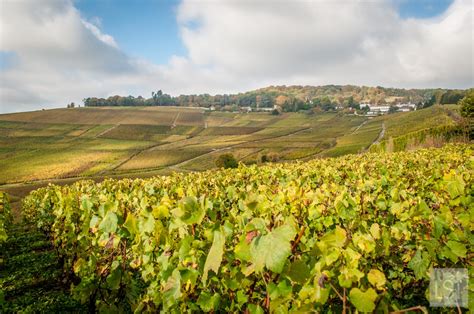 A taste of the Champagne region of France | LiveShareTravel