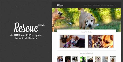 Rescue - Animal Shelter HTML Template by scubetheme | ThemeForest