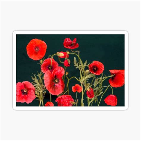 "Red Poppies remembrance day of the armistice" Sticker for Sale by ...