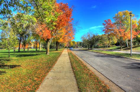 Fall Roadways in Madison, Wisconsin image - Free stock photo - Public ...