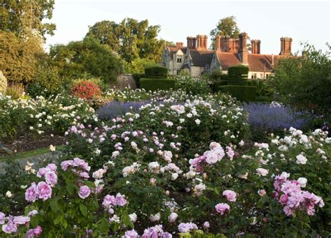 Beautiful rose gardens to visit in July - The English Garden
