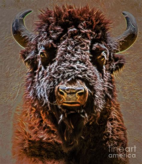 Charging Bison Digital Art by Ray Shiu - Fine Art America