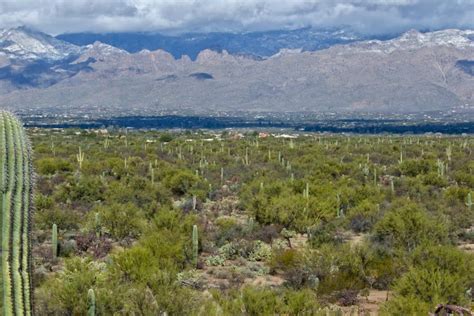 Camping World's Guide to RVing Saguaro National Park | Camping world, National park photos, Best ...