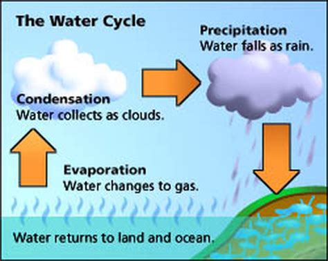 The Water Cycle - Year 7 Geography