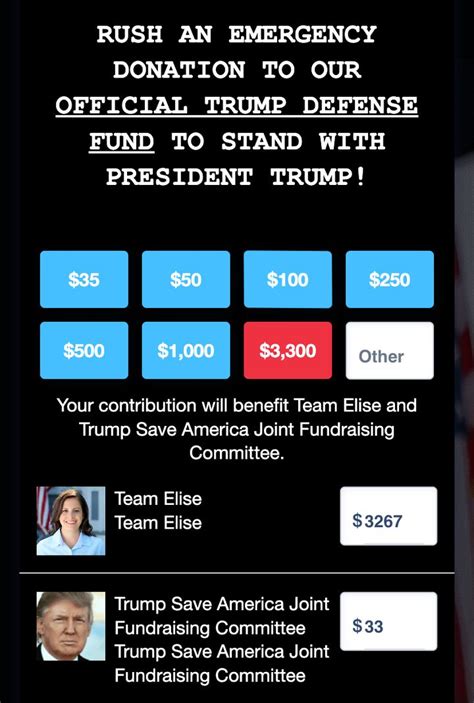 New York State Congresswoman Elise Stefanik Raising Money (For Herself ...