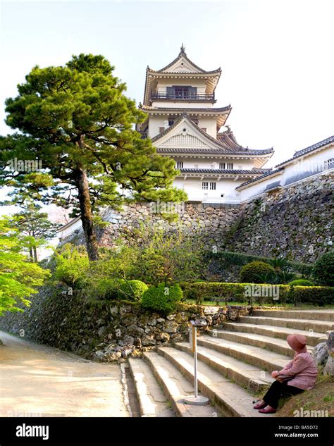 Kōchi Castle - Kochi, Japan Stock Photo - Alamy