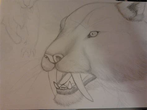 Saber Tooth Tiger Drawing by Vcorb1 on DeviantArt