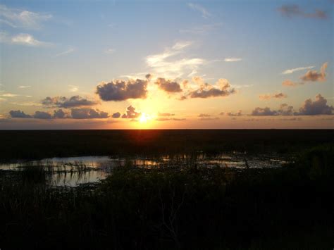 Everglades at Sunset 1 Free Photo Download | FreeImages