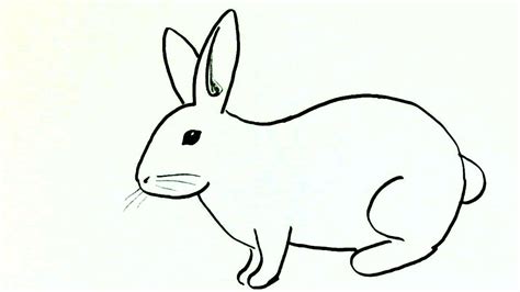 26+ Easy To Draw Bunny Pictures - Shiyuyem