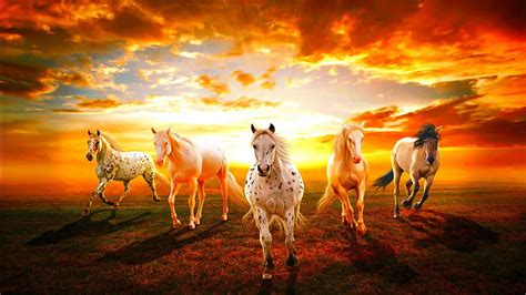 Horses With Background Sunset And Sky With Clouds Horse, HD wallpaper ...