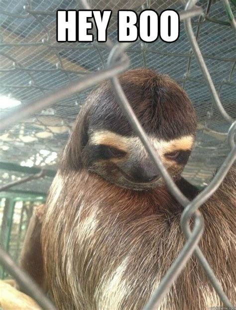 Hey Boo - Creepy Sloth - quickmeme