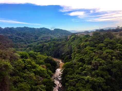 Costa Rican rainforest. : r/MostBeautiful