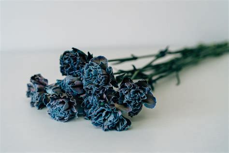 Blue Flowers · Pexels