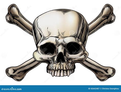 Skull And Crossbones Drawing Stock Vector - Image: 42642487