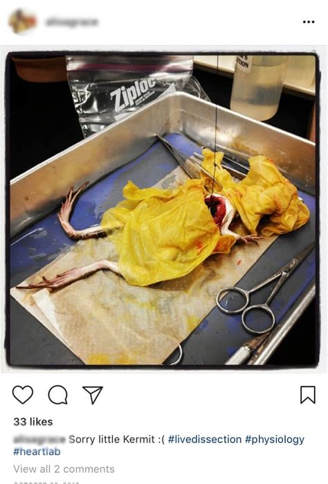 WTF! Students Are Dissecting Live Animals | PETA