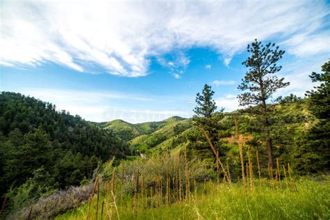 Colorado Mountain Ranges stock photo. Image of plantlife - 77937738