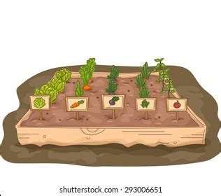 Vegetable Garden Clipart