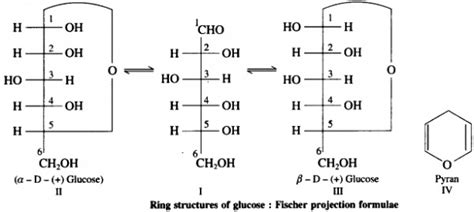 Explain ring structure of glucose. - Sarthaks eConnect | Largest Online Education Community