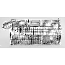 Humane Animal Trap Possum Cage - Home & Lifestyle > Pet Supplies