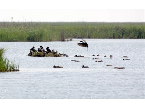 Texas Wildlife And Nature: A Guide To The State's Best National Parks ...