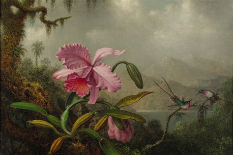 Orchids and Hummingbirds, 1890 - Martin Johnson Heade - WikiArt.org