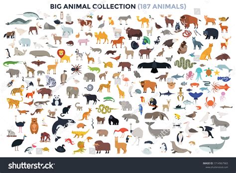 1,902,782 Africa animals 이미지, 스톡 사진 및 벡터 | Shutterstock