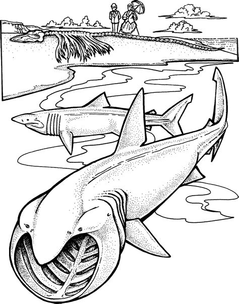 Coloring Pages Sharks Printable