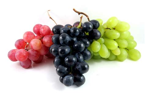 Purple Seedless Table Grapes — Farm Fresh Fundraising