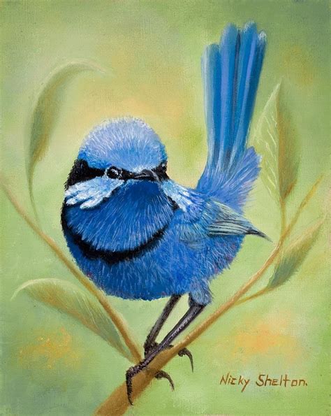 Casanova - Splendid Fairy Wren painted in oils by Australian bird artist Nicky Shelton.