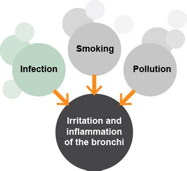 COPD: Chronic Bronchitis | RESPe