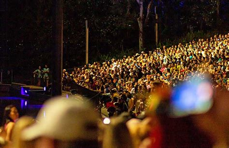 Our ~Frogtastic~ Guide to Fantasmic! at Disney World