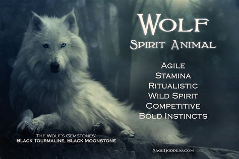 Wolf | spirit animal | Wolf spirit animal, Wolf spirit, Spirit animal