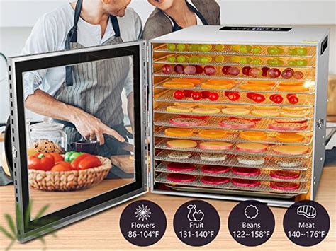 7 Best Industrial Food Dehydrator in 2024