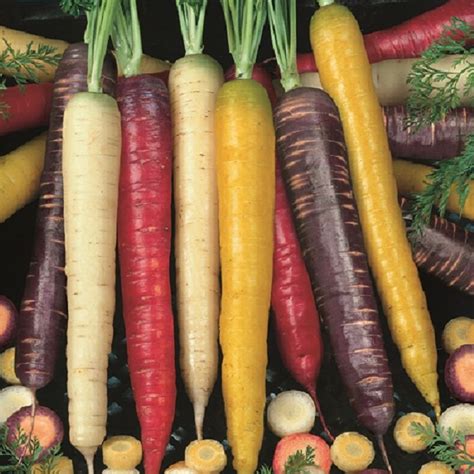 Best Organic Vegetable Seeds Uk - Mbi Garden Plant